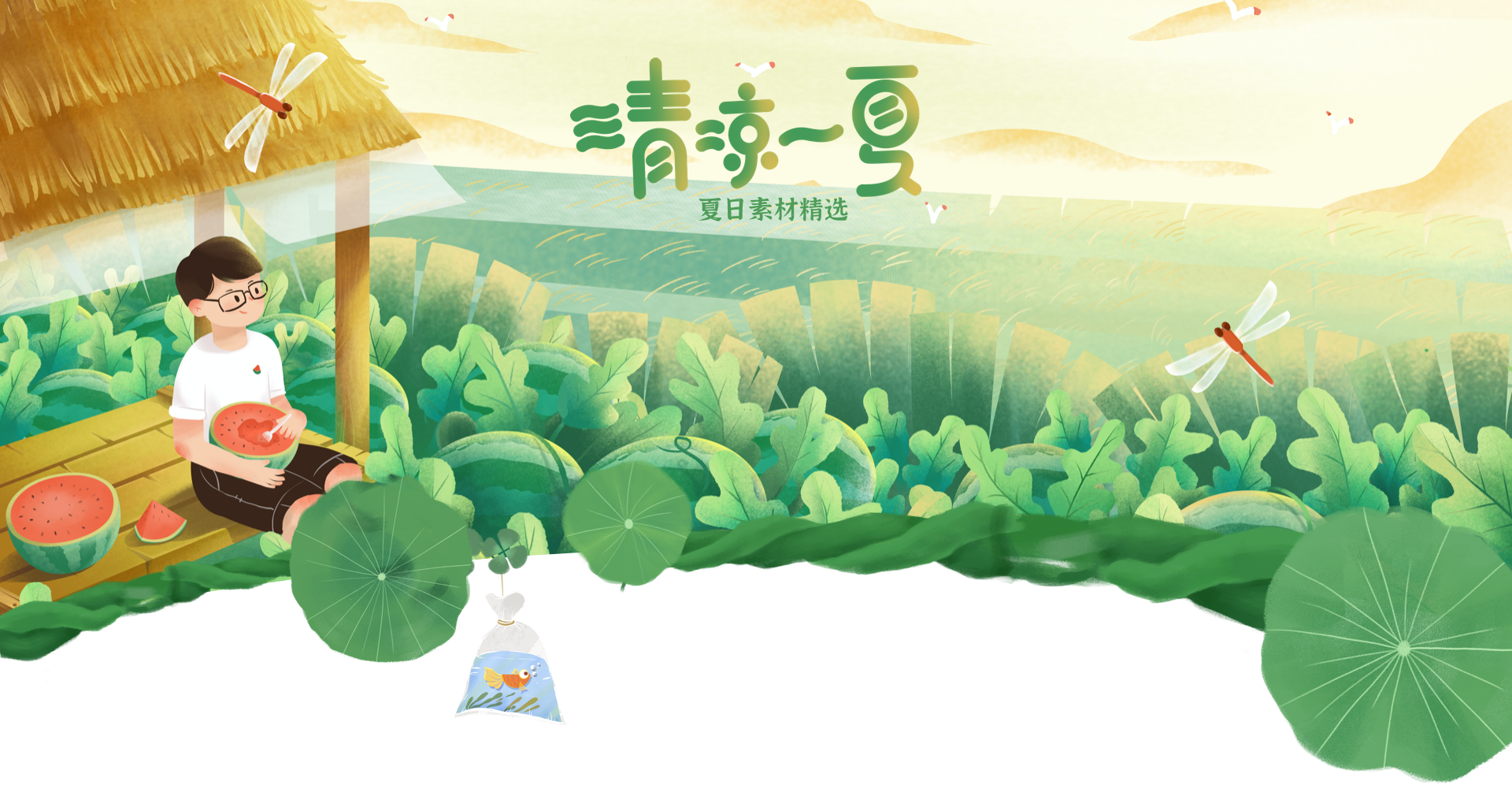 清凉一夏 夏日素材精选